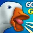 Goose- spil.io