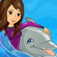 My Dolphin Show