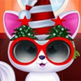 Pet Cat Christmas Makeover